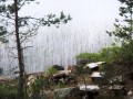 Siikajärvi-mökin rantaa