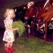 Feeding cows