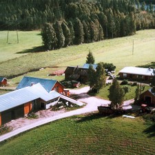 The farm