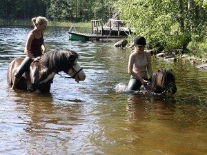 Horseback riding