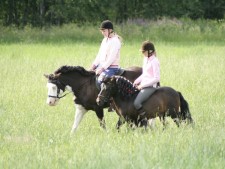 Horseback riding