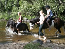 Horseback riding